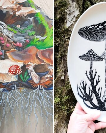 Fantastic Fungi at Salmon Arm Arts Centre