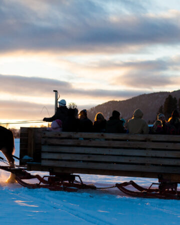 Sleigh Rides with Horse Drawn Okanagan